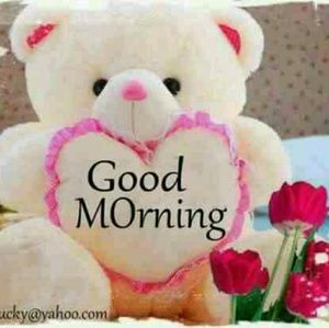 Meet your Posher, Jillisa